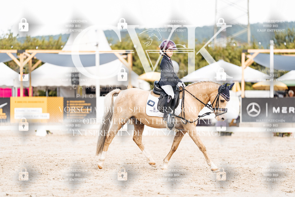 CK904669 | Turnierfotografie Pferdefotografie Trier Rheinland-Pfalz Pferdesport Reitsport Tierfotografie Sportfotografie Pferdevideo Pferdevideografie Equestrianvideography equestrianphotography  - Realisiert mit Pictrs.com