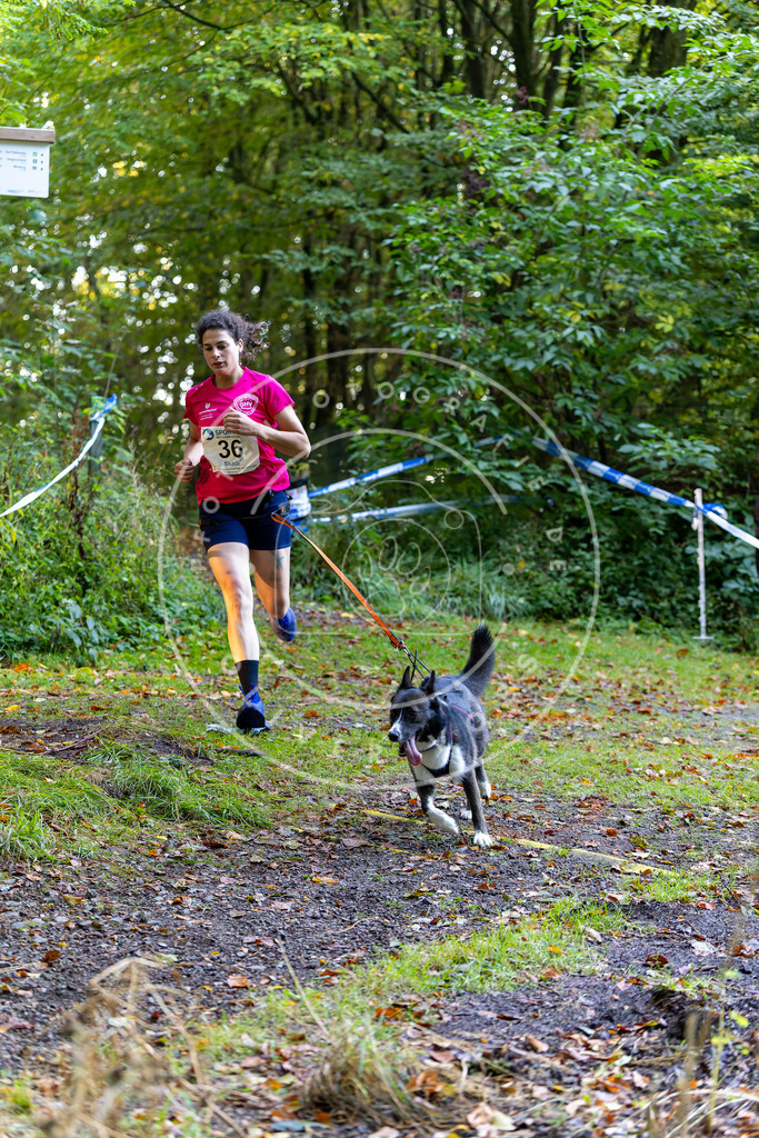 Pfotenfotografie_DV3A6749 | Hundefotografie, Tierfotograf, Pfotenfotografie, Fotoshooting Hund, Hunde Portrait, Hundesport, Hundeportraits, Heideshooting, Hunde, Sportfotograf, Hundefotograf, Turnierhundsport, THS,  - Realisiert mit Pictrs.com