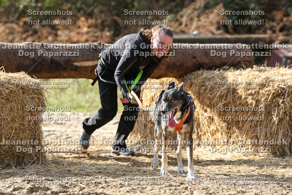 Dog Paparazzi - Strongdog 10-25-5884 | Dog Paparazzi Jeanette Grottendiek Fotografie & Videografie - Realisiert mit Pictrs.com
