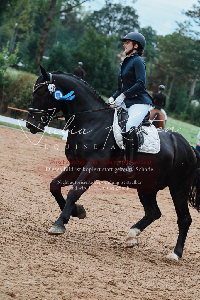 DSC_7304 | Pferde- und Turnierfotografie in Westsachsen. Pferdeportraits, Auftragszeichnungen und intuitive Kunst.