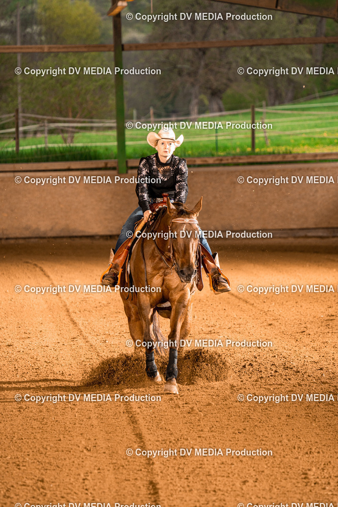 BAL01046 | dv-media-shop - Realisiert mit Pictrs.com