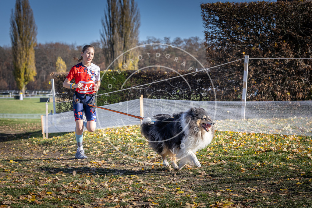 CaniXpix_DV3A8763 | Hundefotografie, Tierfotograf, Pfotenfotografie, Fotoshooting Hund, Hunde Portrait, Hundesport, Hundeportraits, Heideshooting, Hunde, Sportfotograf, Hundefotograf, Turnierhundsport, THS,  - Realisiert mit Pictrs.com