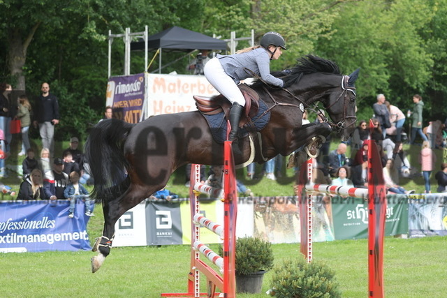 Forst_2024_Prfg.Nr.03_Punktespringprfg_Kl.S_Julia Schmerbeck_Darthago (6) | Alle Fotos der Reiterjournal Fotografin Doris Matthaes im Reiterjournal Online-Fotoshop. - Realisiert mit Pictrs.com