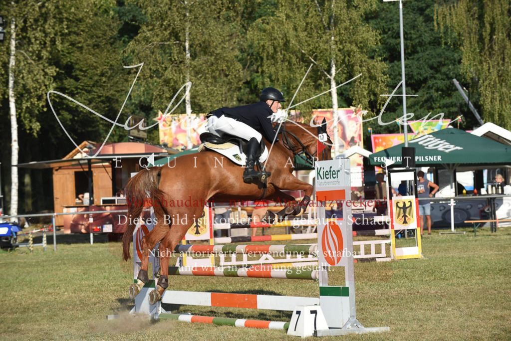 DSC_4965 | Pferde- und Turnierfotografie in Westsachsen. Pferdeportraits, Auftragszeichnungen und intuitive Kunst.