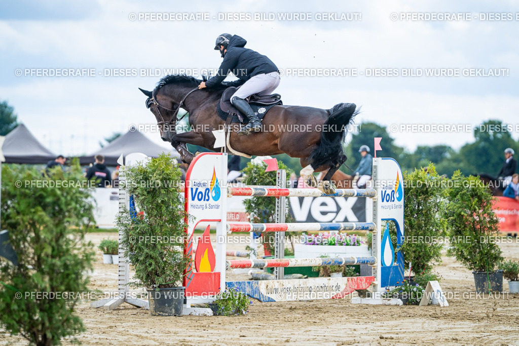 DSC05439 | Pferdegrafie