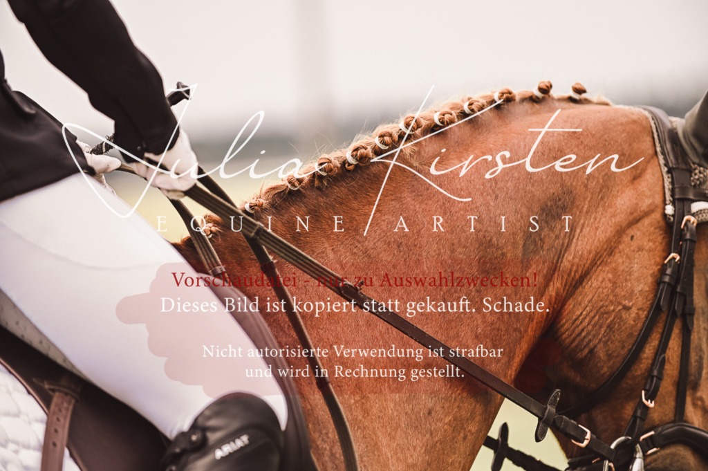 DSC_4816 | Pferde- und Turnierfotografie in Westsachsen. Pferdeportraits, Auftragszeichnungen und intuitive Kunst.