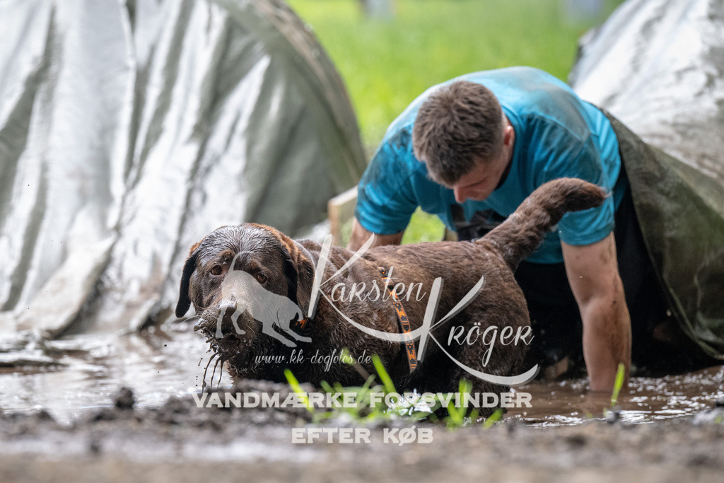 1119_ZZ92383 | kk-dogfotos