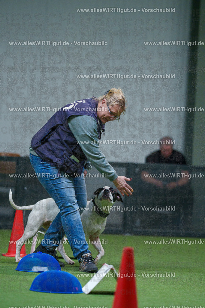 7R502984 | Professionelle Tierfotografie in Mönchengladbach von Daniel Wirth (allesWIRTHgut). Liebevolle & natürliche Bilder von Hunden & Katzen für unvergessliche Erinnerungen.