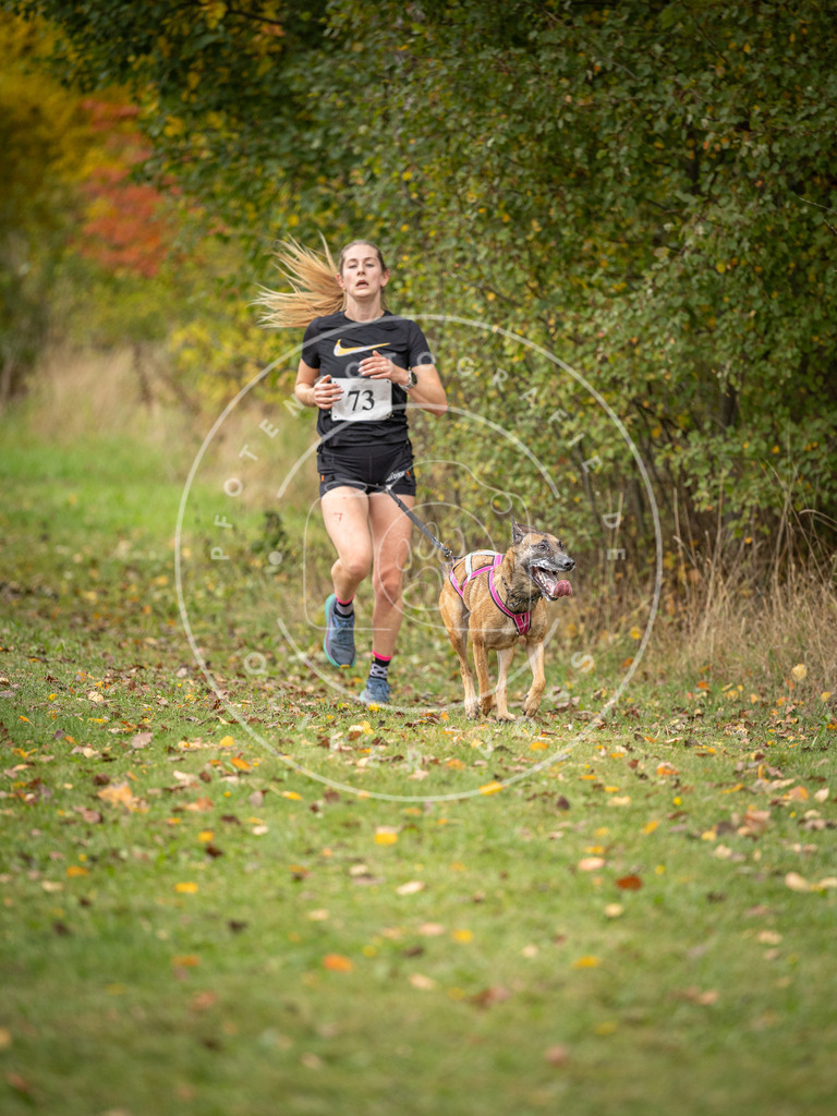 Pfotenfotografie_DV3A2871 | Hundefotografie, Tierfotograf, Pfotenfotografie, Fotoshooting Hund, Hunde Portrait, Hundesport, Hundeportraits, Heideshooting, Hunde, Sportfotograf, Hundefotograf, Turnierhundsport, THS,  - Realisiert mit Pictrs.com