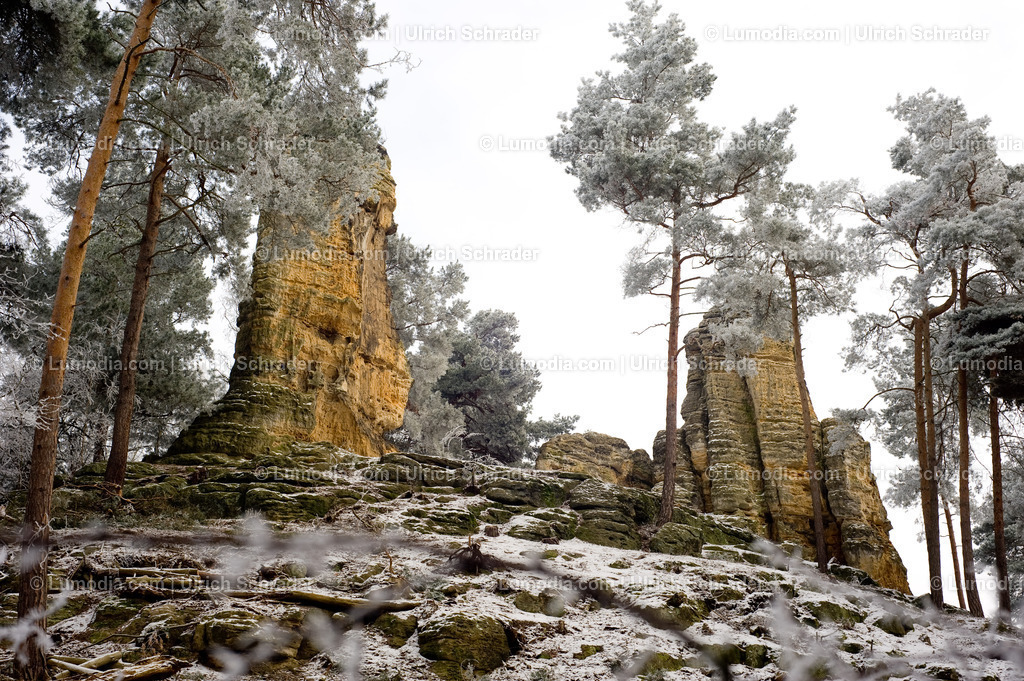 00491-2081 - In den Klusbergen | Stockfoto und Bilderpool mit Bildmaterial aus Deutschland, dem Harz, Halberstadt, Quedlinburg, Wernigerode und weltweit. Qualitativ hochwertige und professionelle Fotos anschauen und kaufen. - Realisiert mit Pictrs.com