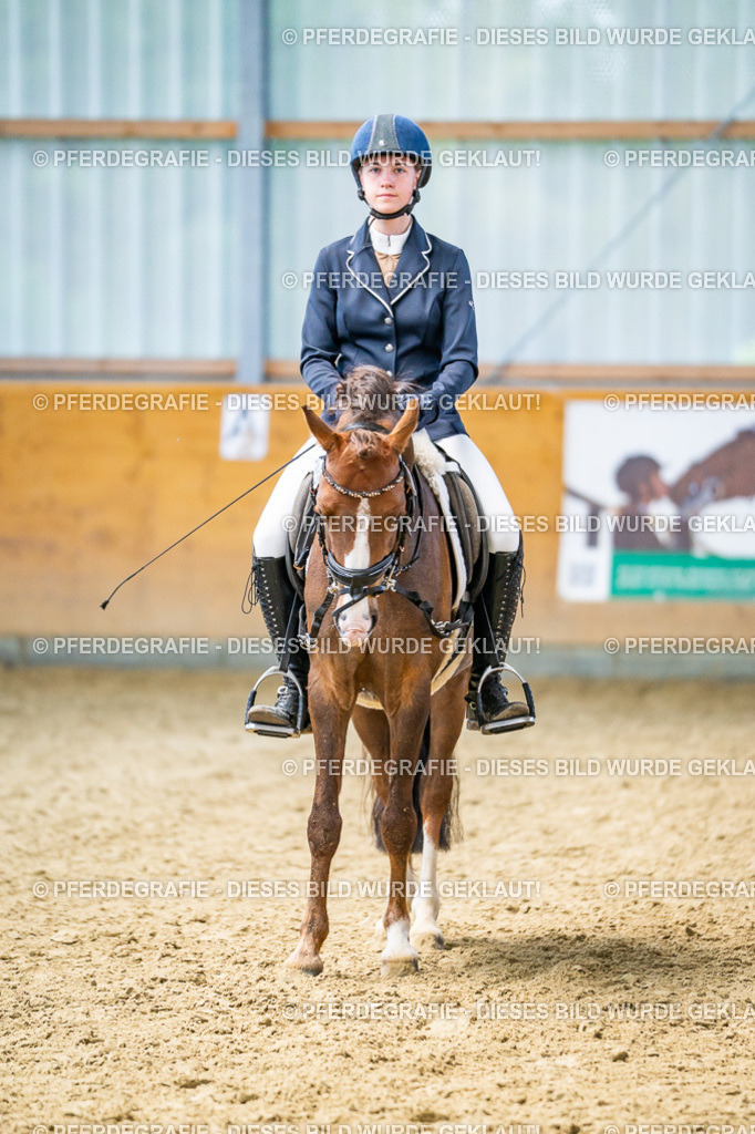 DSC03814 | Pferdegrafie