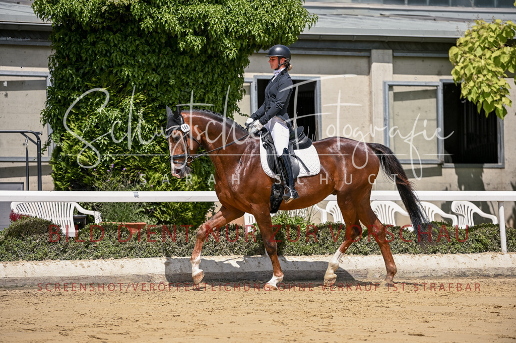 Schugtsche-Aluta25-48.Reitpferfdeprf.-261 | Schugtsche Fotografie - Realisiert mit Pictrs.com