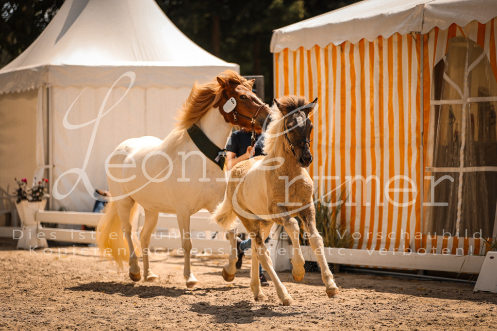 02.DoSR00226 | Leoni Ertmer Photography - Realisiert mit Pictrs.com