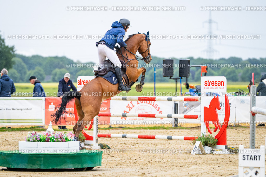 DSC08269 | Pferdegrafie