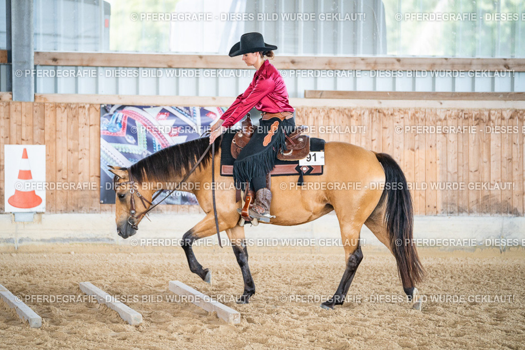 DSC03308 | Pferdegrafie