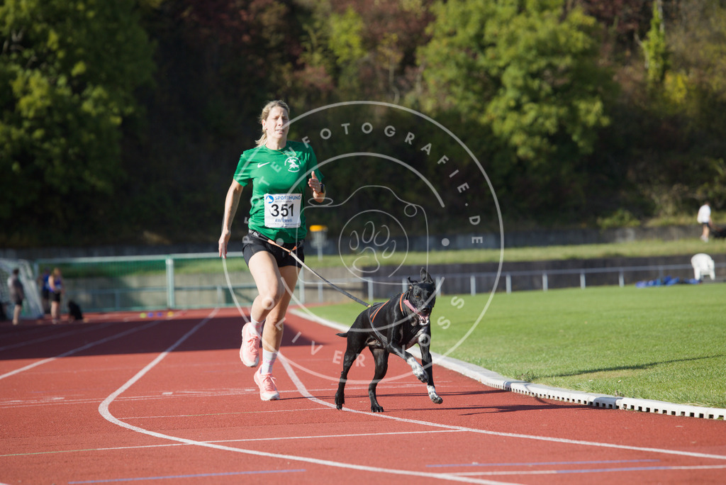 0L8A9544 | Hundefotografie, Tierfotograf, Pfotenfotografie, Fotoshooting Hund, Hunde Portrait, Hundesport, Hundeportraits, Heideshooting, Hunde, Sportfotograf, Hundefotograf, Turnierhundsport, THS,  - Realisiert mit Pictrs.com
