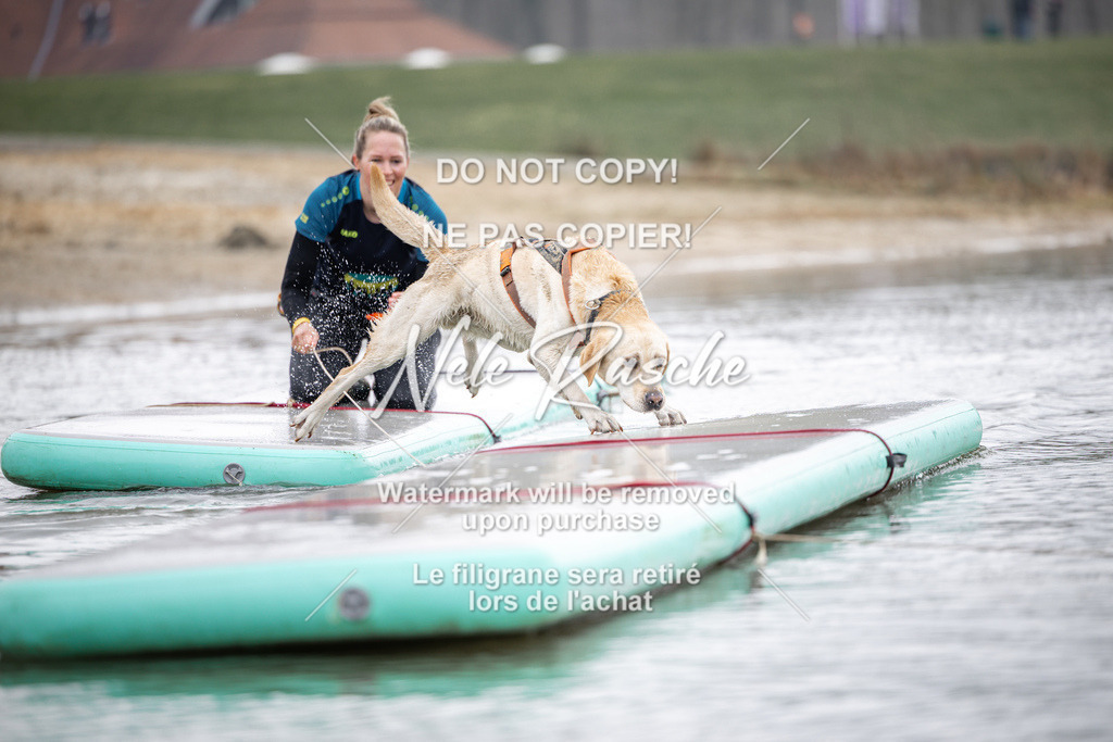 nelerasche_Hulsbeek_Sa1100-1130_451 | nelerasche