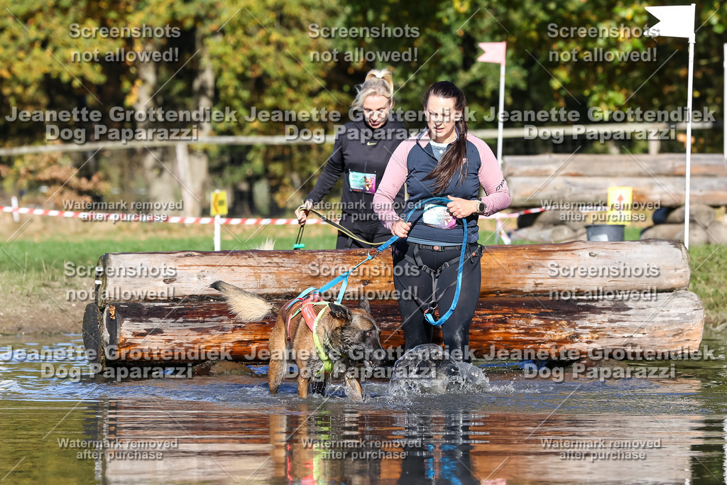 Dog Paparazzi - Strongdog 10-25-8939 | Dog Paparazzi Jeanette Grottendiek Fotografie & Videografie - Realisiert mit Pictrs.com