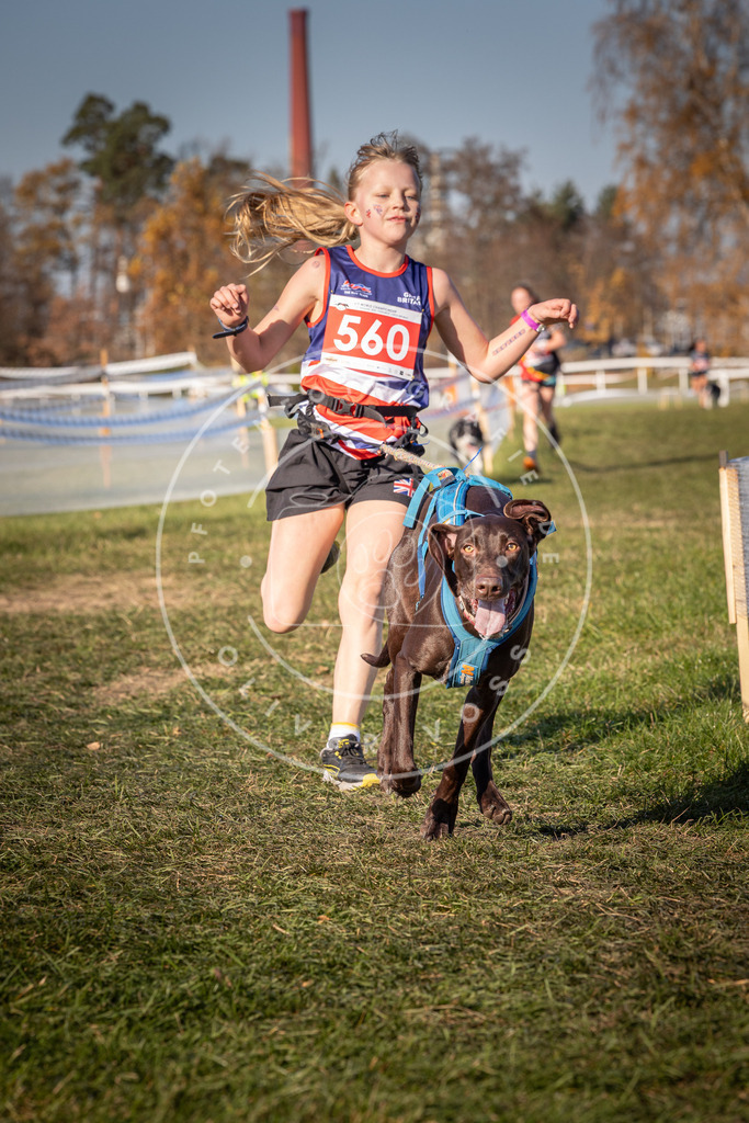CaniXpix_0L8A7854 | Hundefotografie, Tierfotograf, Pfotenfotografie, Fotoshooting Hund, Hunde Portrait, Hundesport, Hundeportraits, Heideshooting, Hunde, Sportfotograf, Hundefotograf, Turnierhundsport, THS,  - Realisiert mit Pictrs.com