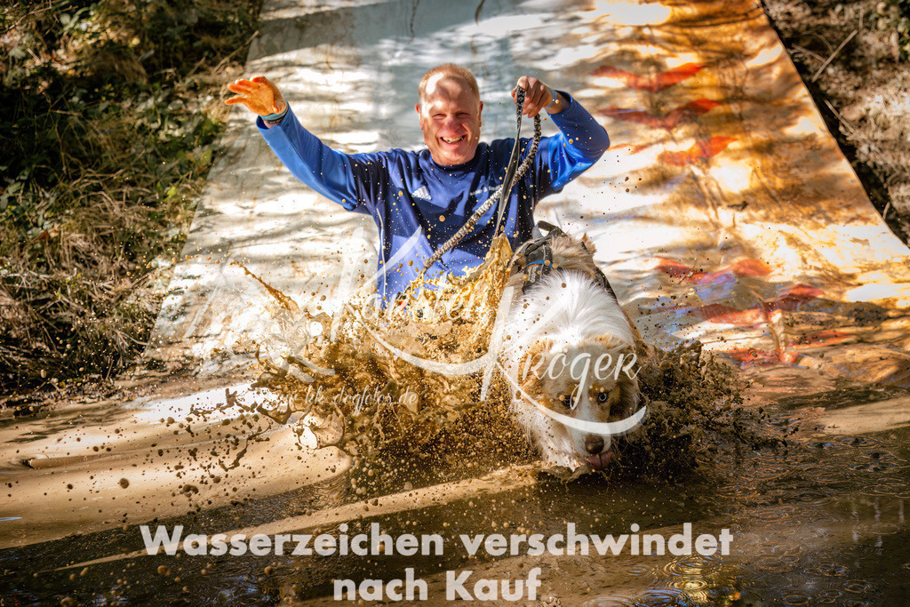 1335_ZZ91892 | kk-dogfotos