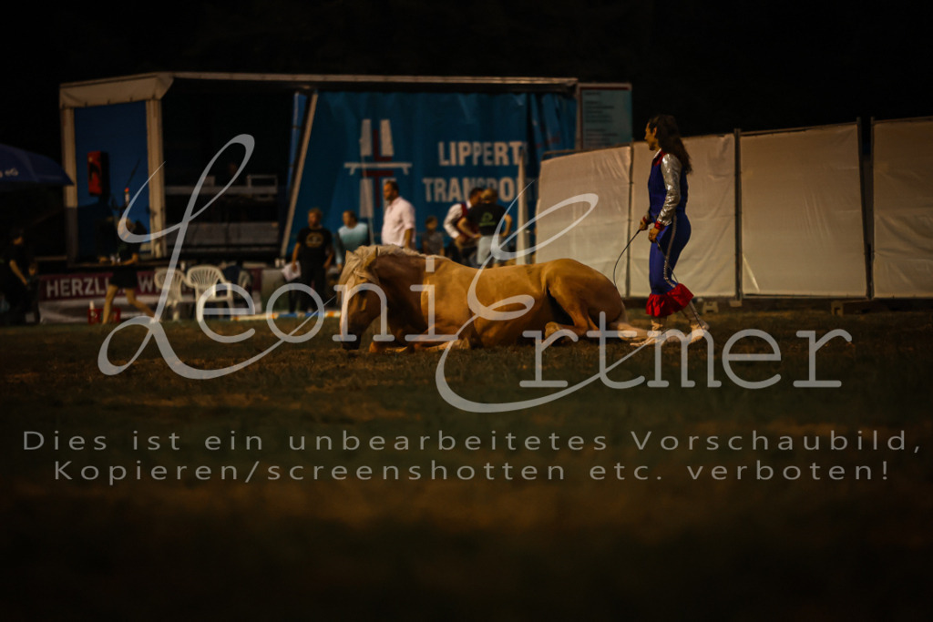 SaShow00296 | Leoni Ertmer Photography - Realisiert mit Pictrs.com