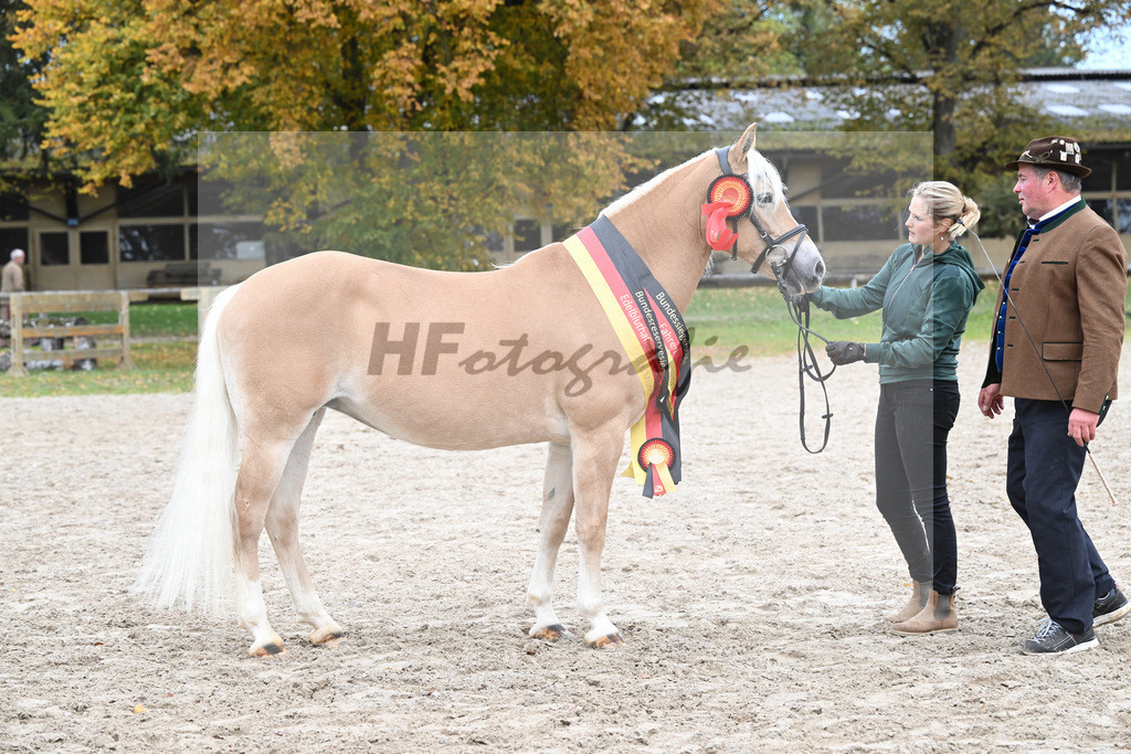 Kat-Nr. 331 Odienne K_Kappelsberger_54223463 | hf-fotografie - Realisiert mit Pictrs.com