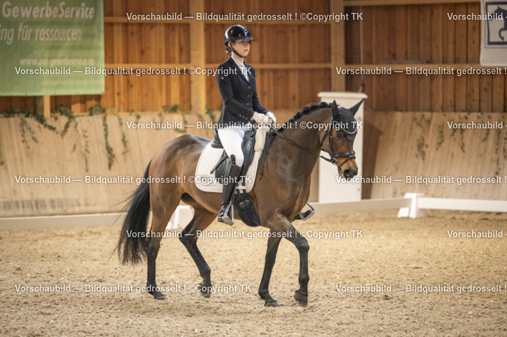 _D5A9990 | Emotionale Pferde- & People-Fotografie rund um Heidelberg, Leimen & Umgebung. Natürliche Fotos von Pferd, Mensch & Familie. Jetzt Termin sichern!