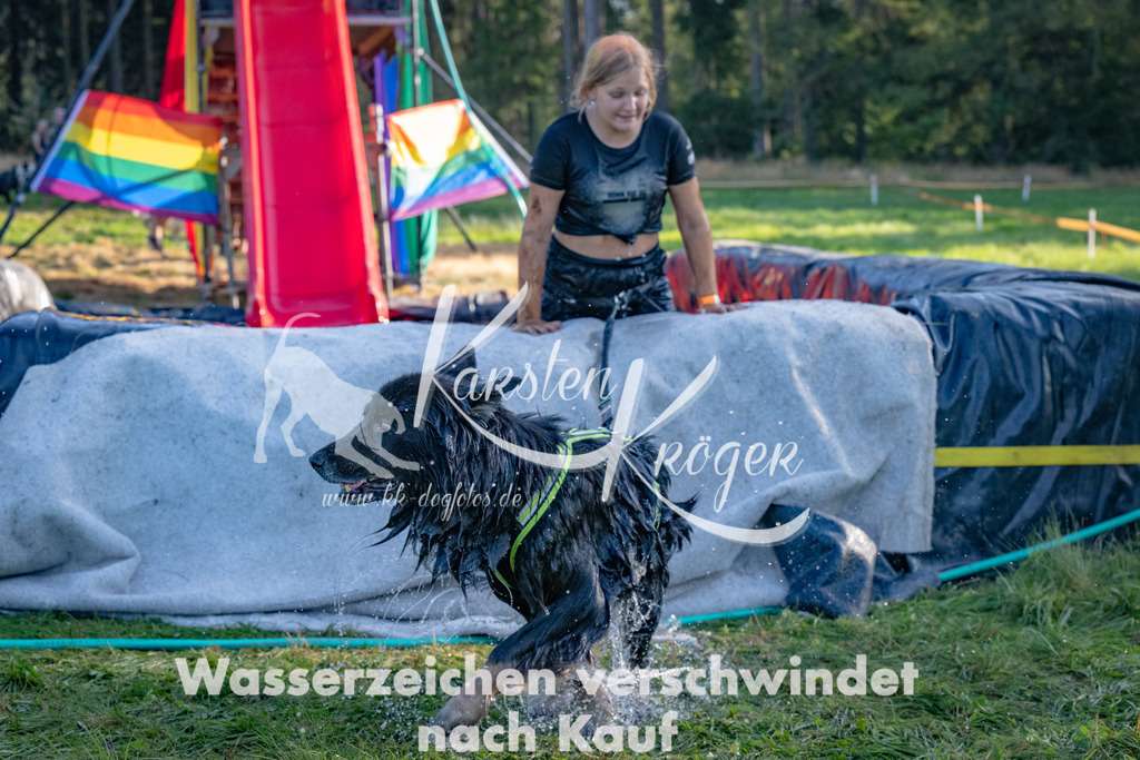 1742_ZZ91799 | kk-dogfotos