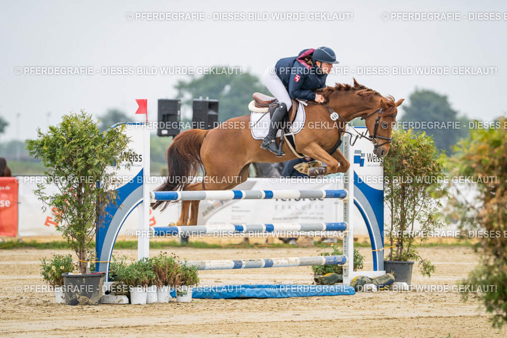 DSC01171 | Pferdegrafie