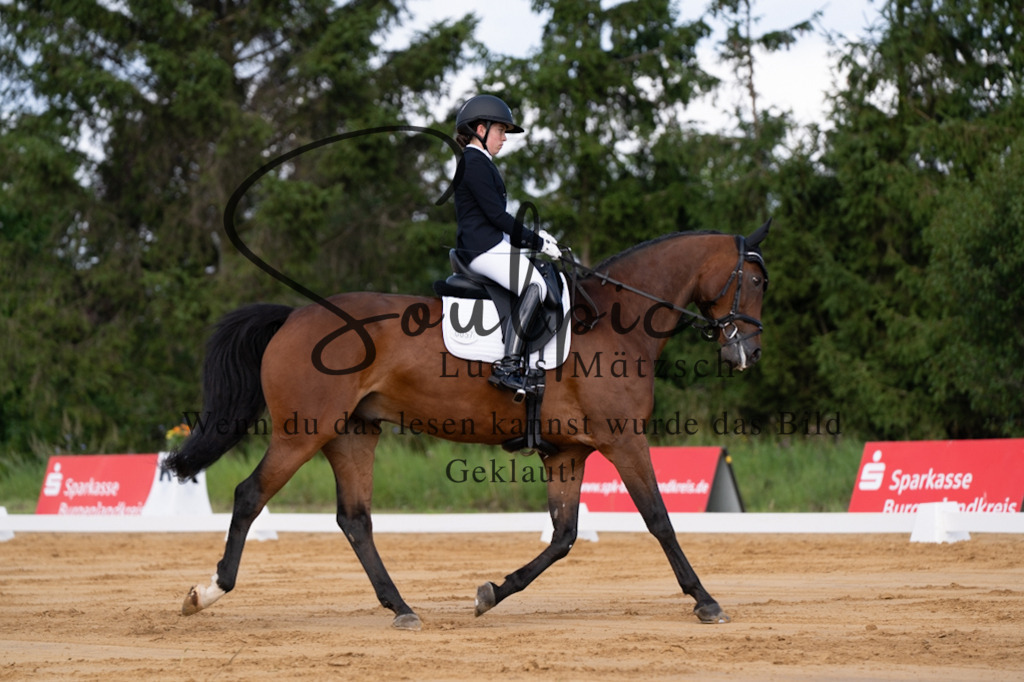 A7V05114 | Pferdefotograf