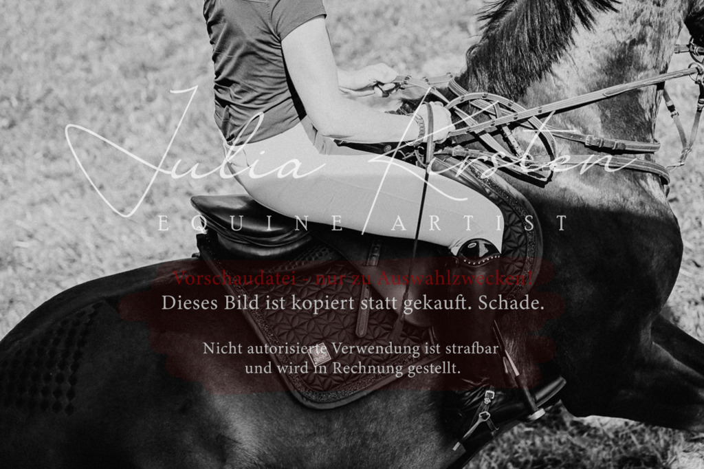 DSC_1852 | Pferde- und Turnierfotografie in Westsachsen. Pferdeportraits, Auftragszeichnungen und intuitive Kunst.