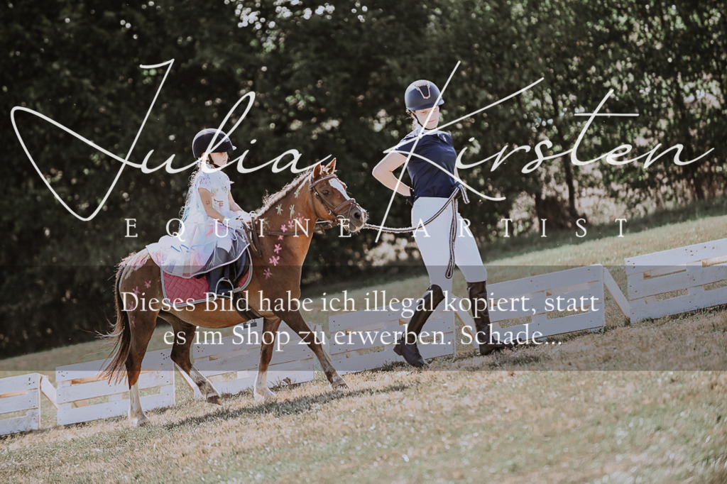 DSC_9176 | Pferde- und Turnierfotografie in Westsachsen. Pferdeportraits, Auftragszeichnungen und intuitive Kunst.