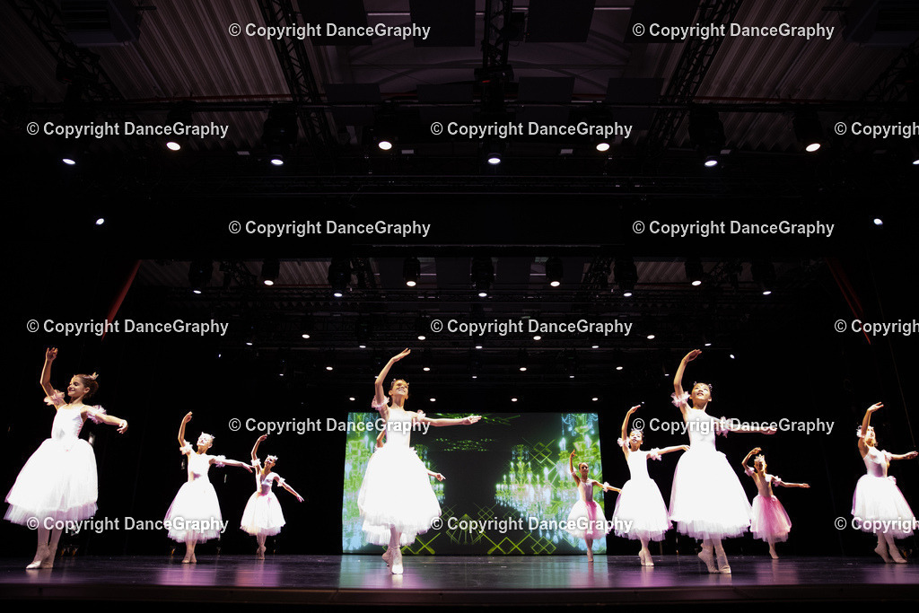 GPHY5649 | DanceGraphy - Realisiert mit Pictrs.com