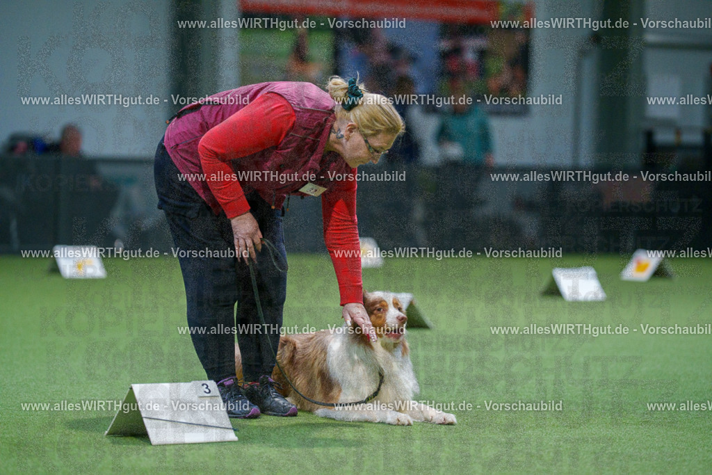 7R500689 | Professionelle Tierfotografie in Mönchengladbach von Daniel Wirth (allesWIRTHgut). Liebevolle & natürliche Bilder von Hunden & Katzen für unvergessliche Erinnerungen.