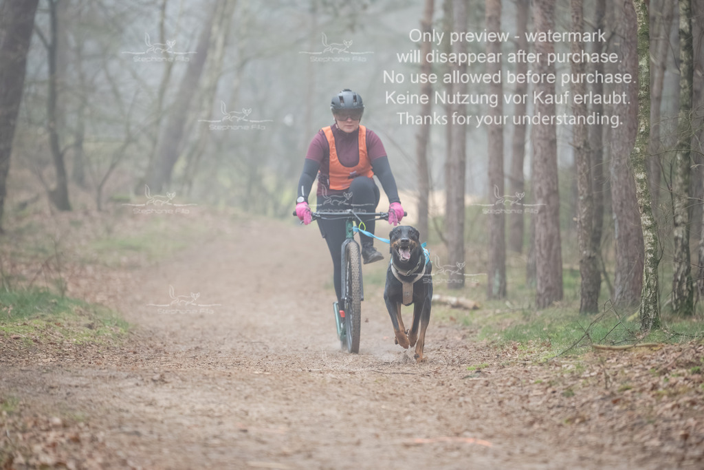 Scooter1-167 | stephaniefillaphotographie - Realisiert mit Pictrs.com