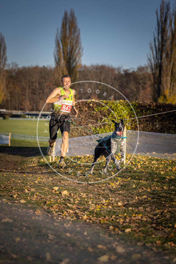 CaniXpix_DV3A4067 | Hundefotografie, Tierfotograf, Pfotenfotografie, Fotoshooting Hund, Hunde Portrait, Hundesport, Hundeportraits, Heideshooting, Hunde, Sportfotograf, Hundefotograf, Turnierhundsport, THS,  - Realisiert mit Pictrs.com