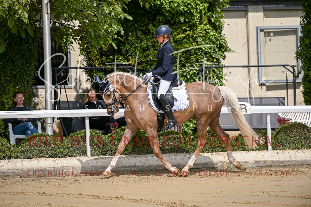 Schugtsche-Aluta25-48.Reitpferfdeprf.-21 | Schugtsche Fotografie - Realisiert mit Pictrs.com