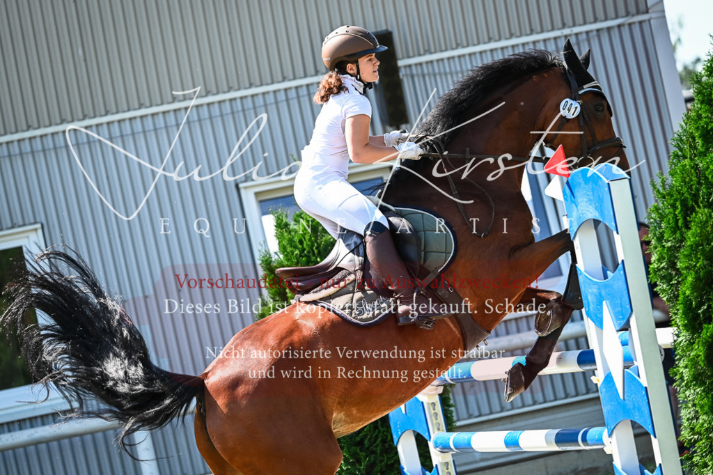 DSC_1197 | Pferde- und Turnierfotografie in Westsachsen. Pferdeportraits, Auftragszeichnungen und intuitive Kunst.