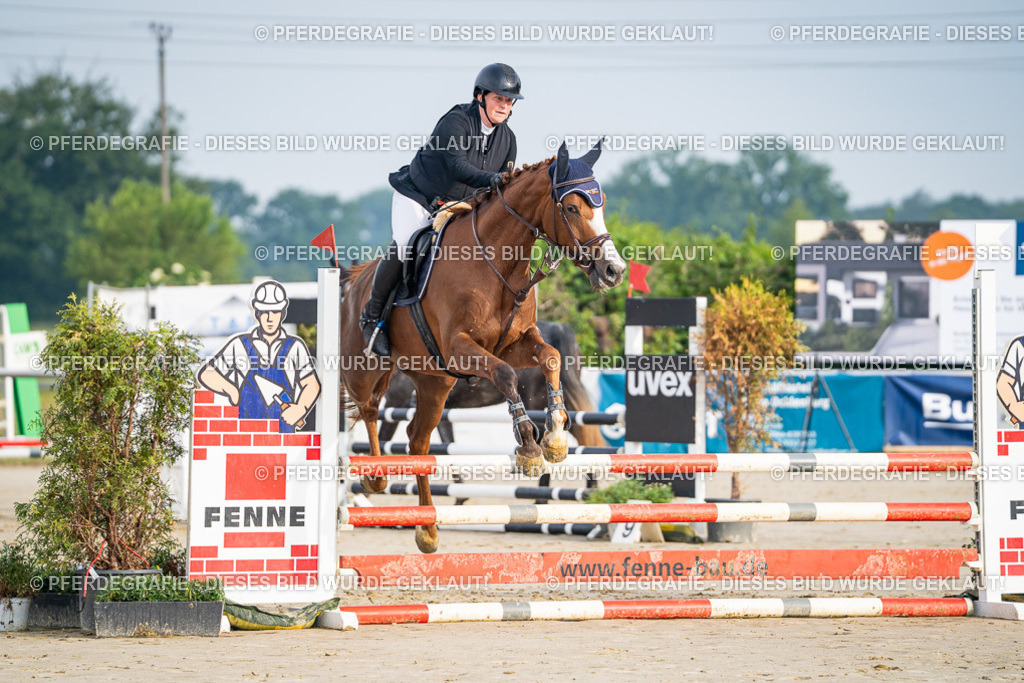 DSC07569 | Pferdegrafie