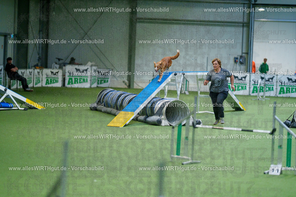 @allesWIRTHgut_Tierfotografie - www.allesWIRTHgut.de - 2604250824-7R506473 | Professionelle Tierfotografie in Mönchengladbach von Daniel Wirth (allesWIRTHgut). Liebevolle & natürliche Bilder von Hunden & Katzen für unvergessliche Erinnerungen.