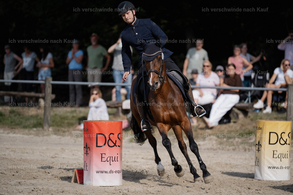 WS_SP_38_Stoibphotography_SO11543 | working equitationturnier fotograf videograf stoibphotography marixx film working equitation deutschland reitsport turnierfotografie eventfotografie equestrian events