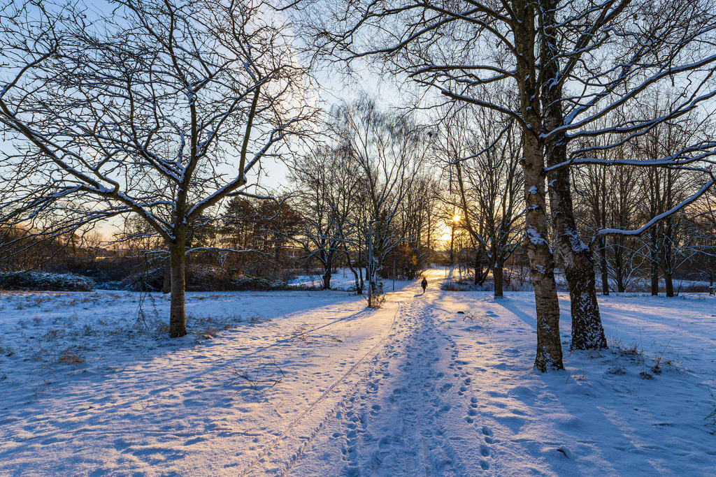 Sonnenaufgang im Kringelgrabenpark im Winter in der Hansestadt Rostock | Sonnenaufgang im Kringelgrabenpark im Winter in der Hansestadt Rostock.