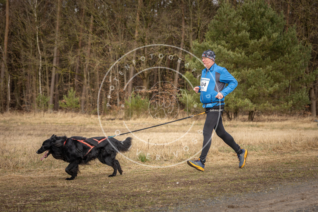 DV3A4175 | Hundefotografie, Tierfotograf, Pfotenfotografie, Fotoshooting Hund, Hunde Portrait, Hundesport, Hundeportraits, Heideshooting, Hunde, Sportfotograf, Hundefotograf, Turnierhundsport, THS,  - Realisiert mit Pictrs.com