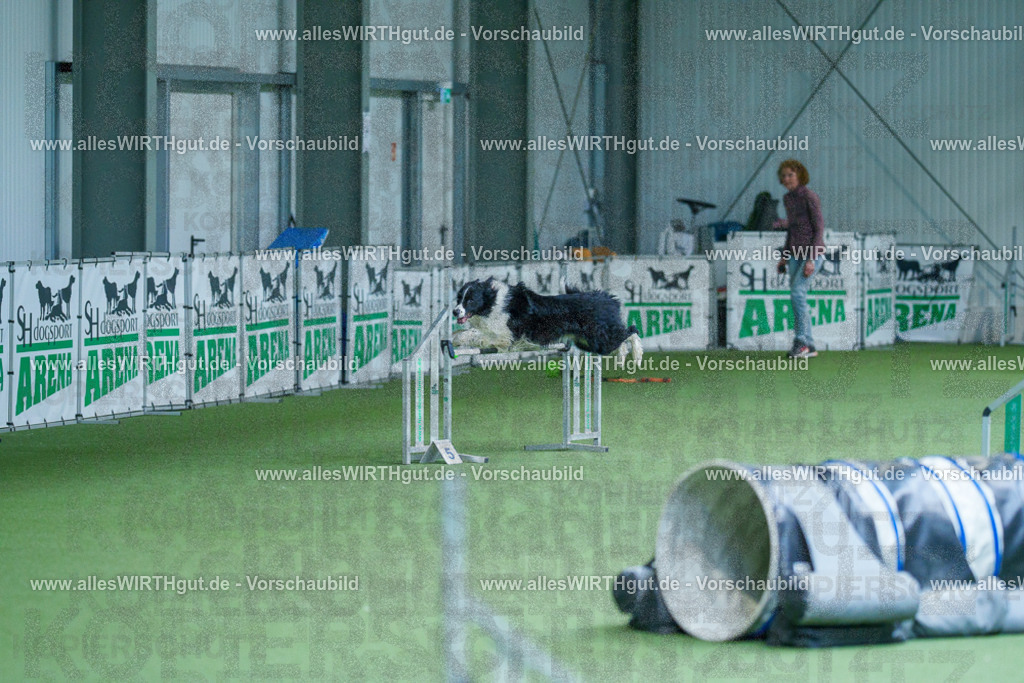@allesWIRTHgut_Tierfotografie - www.allesWIRTHgut.de - 2604261407-7R503484 | Professionelle Tierfotografie in Mönchengladbach von Daniel Wirth (allesWIRTHgut). Liebevolle & natürliche Bilder von Hunden & Katzen für unvergessliche Erinnerungen.