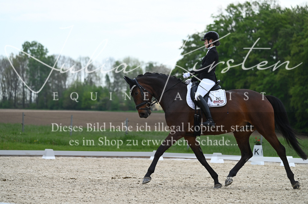 20230512_JK-Röhrsdorf-02-180 | Pferde- und Turnierfotografie in Westsachsen. Pferdeportraits, Auftragszeichnungen und intuitive Kunst.