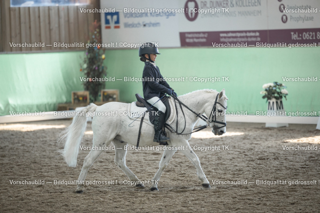 _D5A9085 | Emotionale Pferde- & People-Fotografie rund um Heidelberg, Leimen & Umgebung. Natürliche Fotos von Pferd, Mensch & Familie. Jetzt Termin sichern!