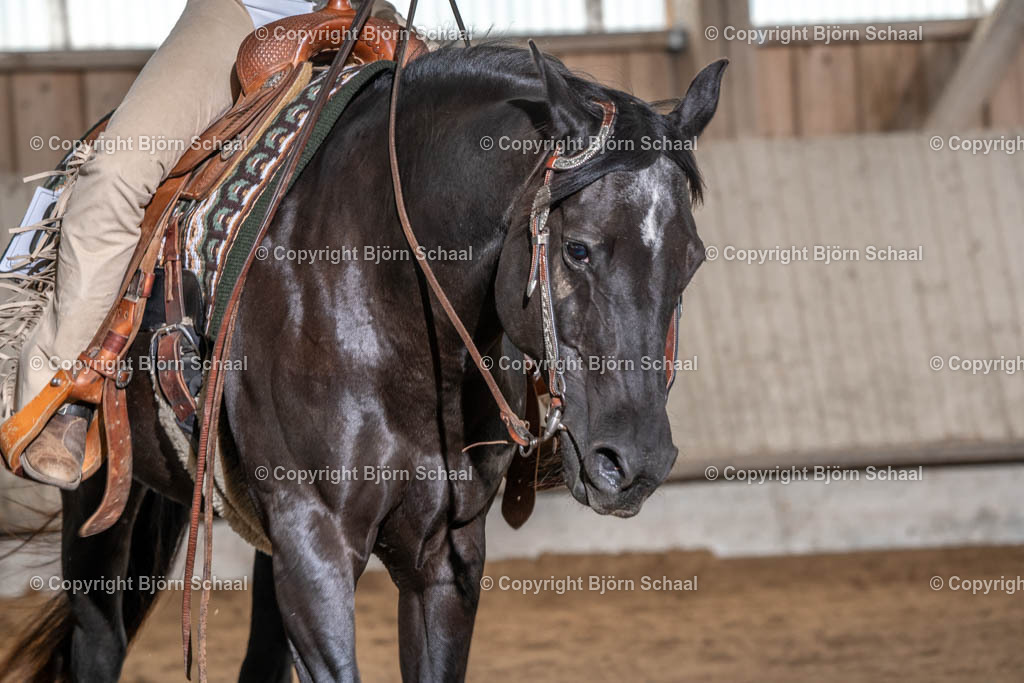 SBS04740 | BS-foto