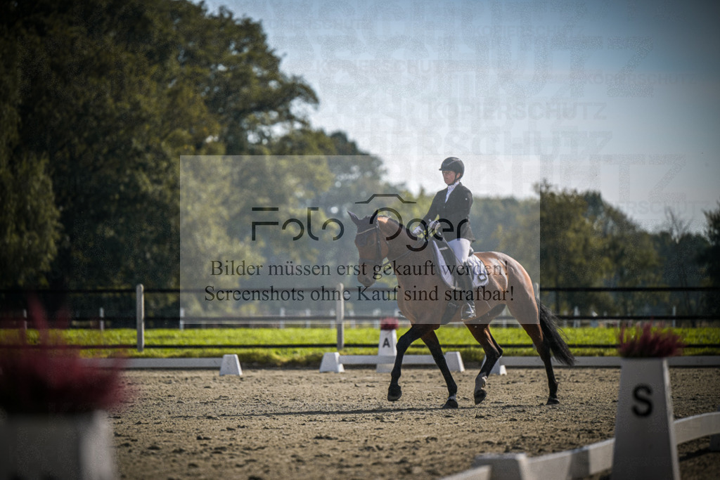 DOS_1371 | Entdecke hochwertige Reitturnierfotos von Foto Oger. Professionell, emotional und authentisch – jetzt Lieblingsmomente im Shop bestellen.Deutschlandweite Turnierfotografie. - Realisiert mit Pictrs.com