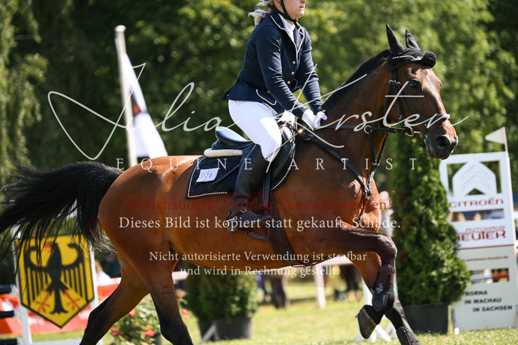 DSC_8924 | Pferde- und Turnierfotografie in Westsachsen. Pferdeportraits, Auftragszeichnungen und intuitive Kunst.