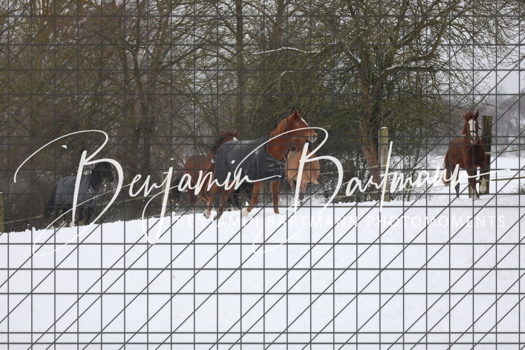 AZ2A3332 | Benjamin Bartmann Photomoments